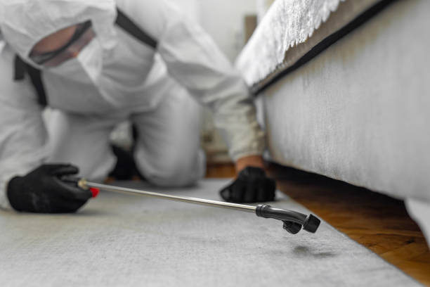 Professional Termite Control technician working in Spencer, IA