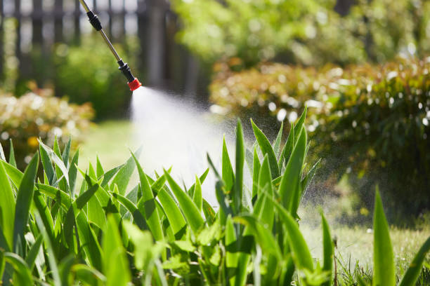 24/7 Emergency Termite Control experts in Spencer, IA