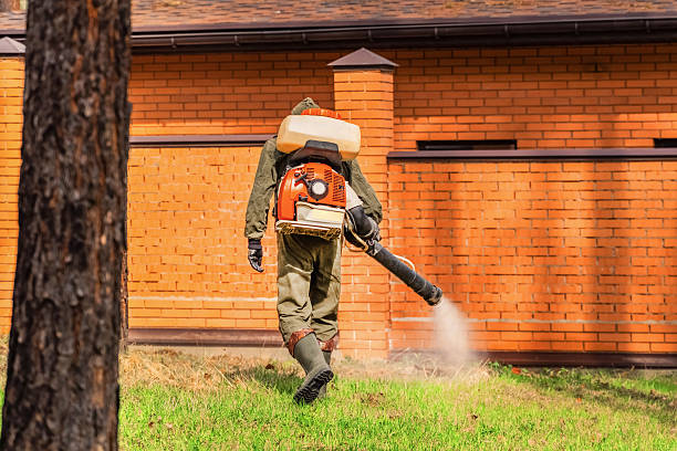 Top rated local Termite Control specialists in Spencer, IA